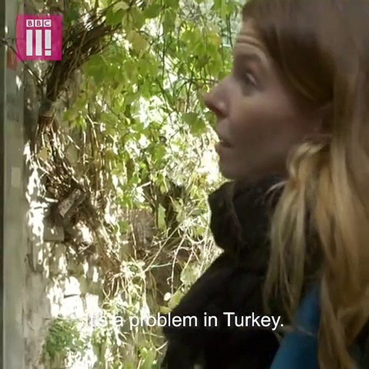 BBC Muhabiri - Stacey Dooley  Türkiye'de Genelevleri İnceliyor