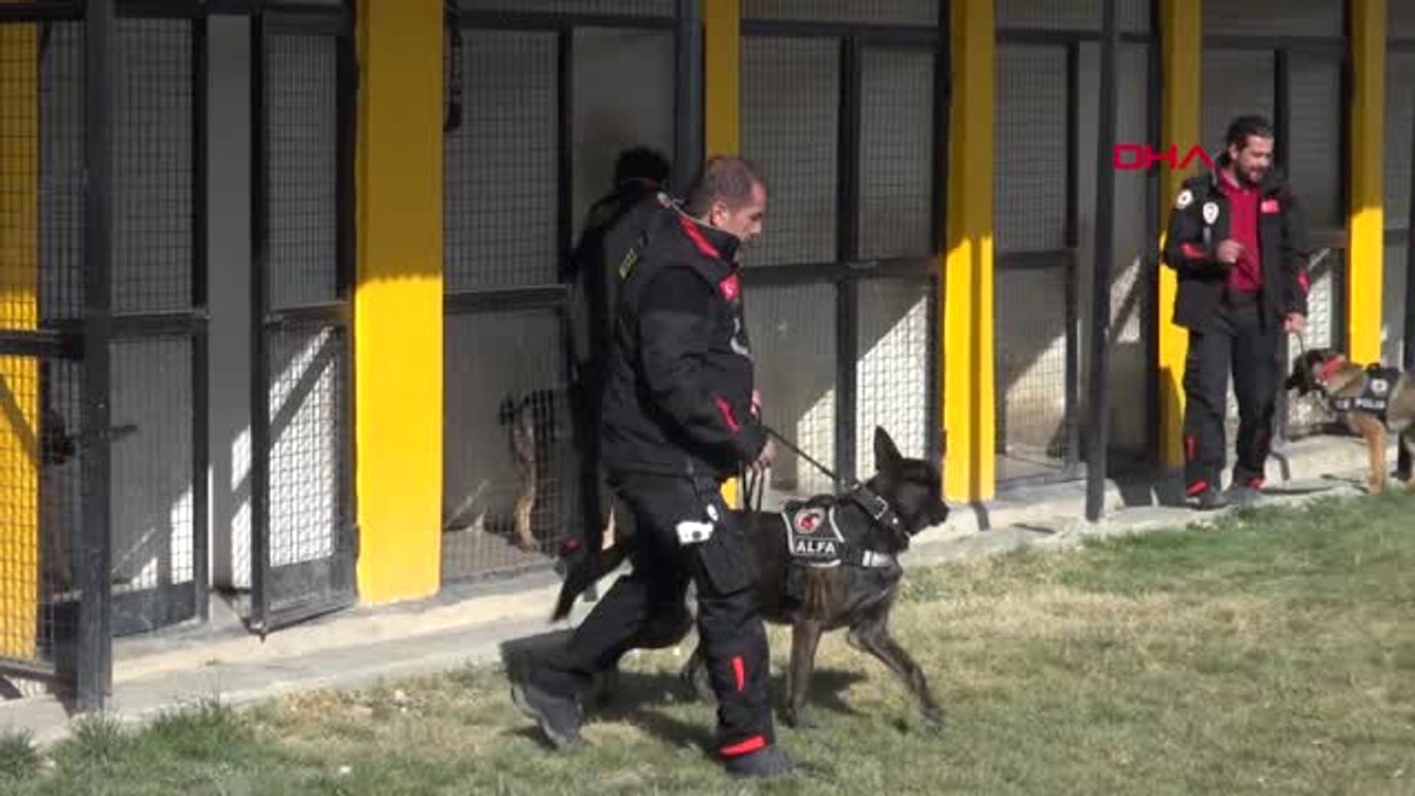 Van'da Emniyetin Hassas Burunlu Köpekleri Türkiye Rekoru Kırdı