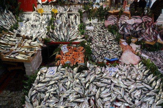 Çinekop Bolluğu Ucuzluk Getirdi! Fiyatlar Neredeyse Yarı Yarıya Düştü