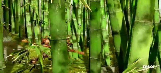 345136897_H264-848x480