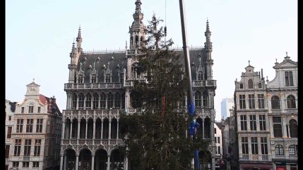 Le sapin de Noël est arrivé sur la Grand-Place