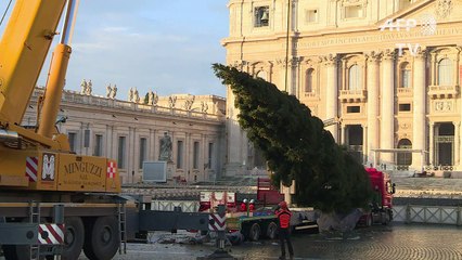Le sapin de Noël du Vatican est arrivé place Saint-Pierre