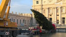 Le sapin de Noël du Vatican est arrivé place Saint-Pierre