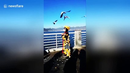 Strange man hangs bread on his body to attract seagulls