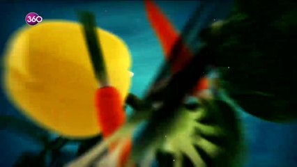 Tatlı Tuzlu - Pancarlı Keçi Peynirli Milföy ve Kestaneli Cup