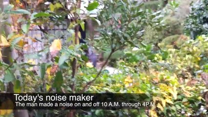 EDR November #19 2018 Noise Campaign: Round-Trip Cars and Airplanes