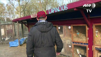 A La Butte Pinson, une alternative à la prison ferme