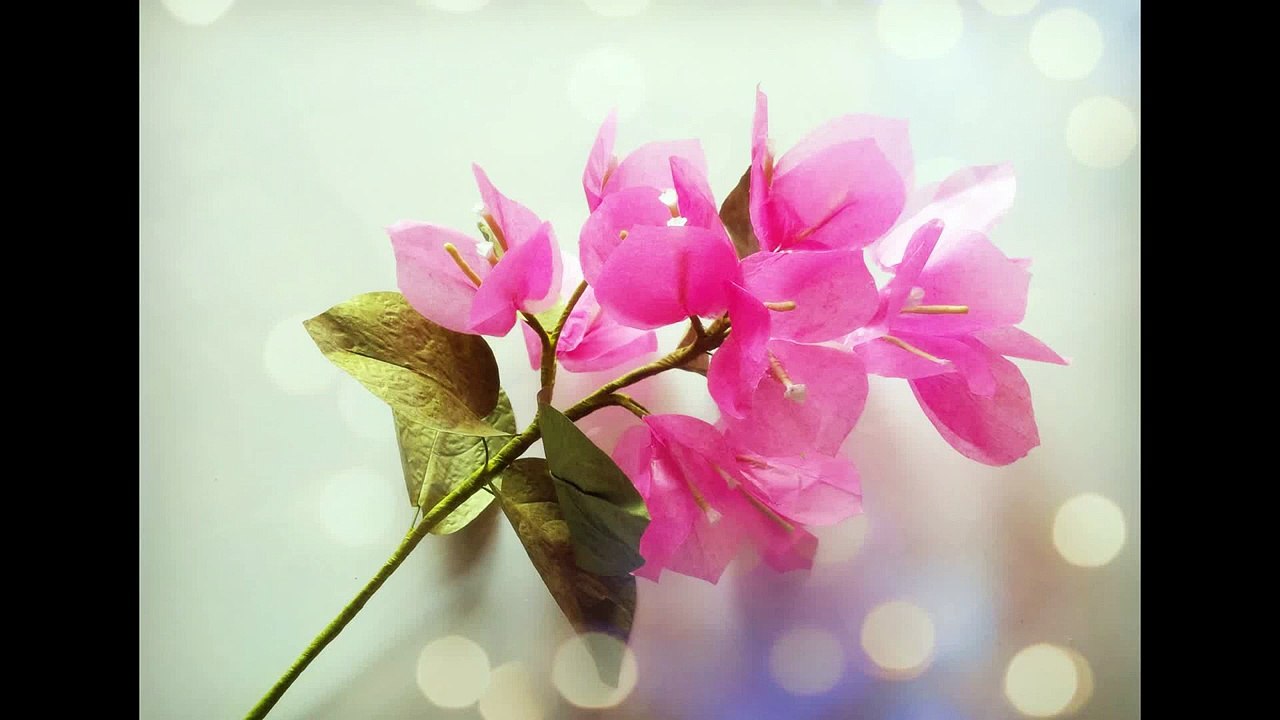 Bougainvillea From Tissue Paper - Craft Tutorial
