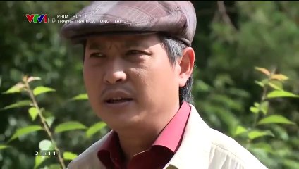 Trang Trại Hoa Hồng Tập 34 - Bản Chuẩn Full - (Ngày 22/11/2018 - Phim Việt Nam VTV1) - Trang Trai Hoa Hong Tap 34 - Trang Trai Hoa Hong Tap 35 ( Tap Cuoi)