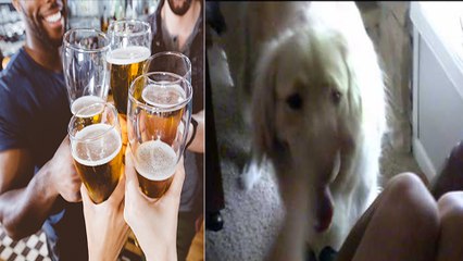 போதையில் நாய்க்கு பாலியல் தொல்லை கொடுத்த குடிமகன்கள்