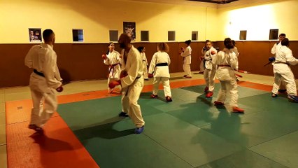 Karaté : le champion du monde Steven Da Costa réalise enfin