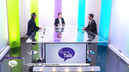 Le Grand Talk - 22/11/2018 Partie 3 - Élevage laitier : 120 fermes à reprendre