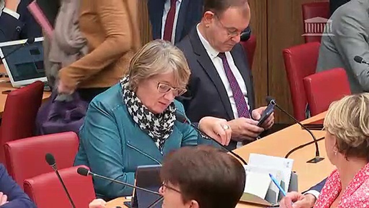 21/11 - Hydro : audition du Directeur général Concurrence de la Commission européenne - 1/2