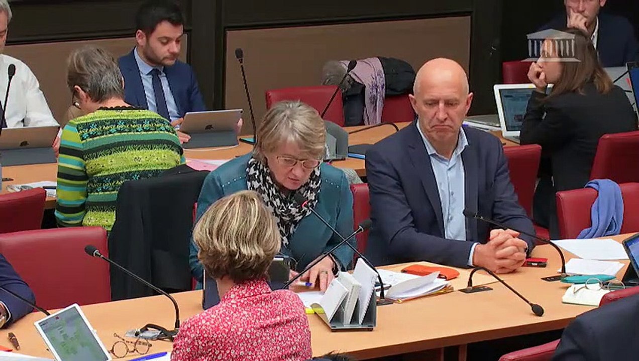 21/11 - Hydro : audition du Directeur général Concurrence de la Commission européenne - 2/2