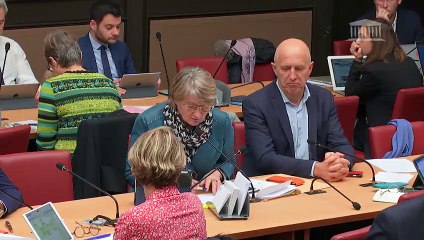 21/11 - Hydro : audition du Directeur général Concurrence de la Commission européenne - 2/2