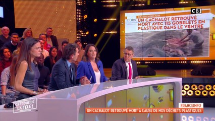 Une baleine retrouvée morte avec son estomac rempli de plastique