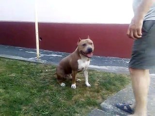 ВОТ ТАКИЕ ОНИ СТАФЫ!