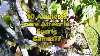  10 Amuletos para Atraer la Suerte 