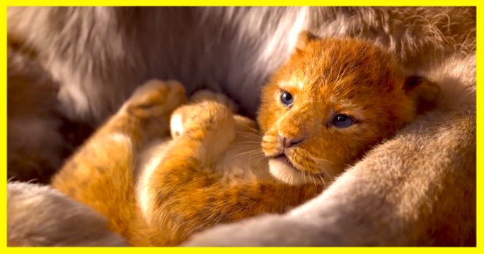 THE LION KING | Official Trailer - Disney Live Action Movie - Seth Rogan, Donald Glover, Beyoncé