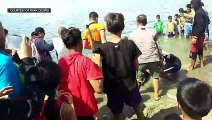 WATCH: Giant leatherback turtle in Camarines Sur released back to sea
