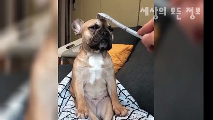 논산출장마사지[ÖlÖw2574w8799]『카톡↔st7744』【선입금NO!】논산출장안마 논산출장안마 출장안마코스 논산출장마사지-황제 논산출장마사지=논산콜걸