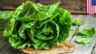 CDC suggests all of America should avoid romaine lettuce