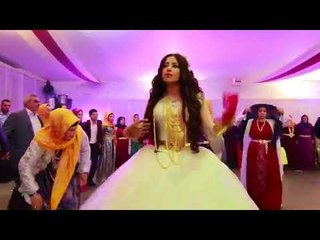 حفلات ألمانيا عمر سليمان دبكات Omar Souleyman