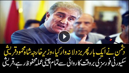 Chinese consulate staff safe in Karachi attack: FM Qureshi