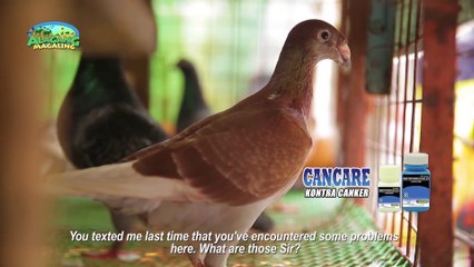 Alagang Magaling S10 EP10 - ALAGA NI DOC JERMAINE CRUZ