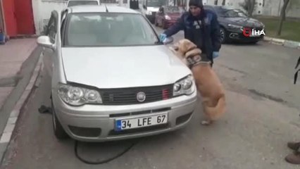 Karı Koca Çocuklarıyla Birlikte Eroin Sevkıyatında Yakalandı