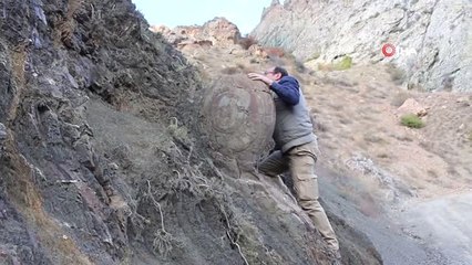 Müzeye Taşınamayam "Kaya Salyangoz" Yerinde Koruma Altına Alınacak
