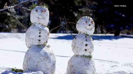 Here’s How to Build the Perfect Snowman, According to Science
