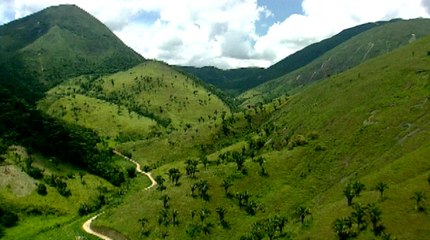 Ricardo Silveira - Paisagens 4 - Mata Atlântica