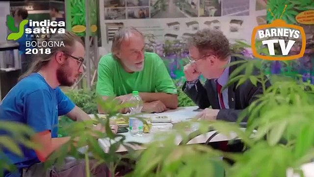 Barneys Farm @ Indica Sativa Trade 2018 Bologna Italy
