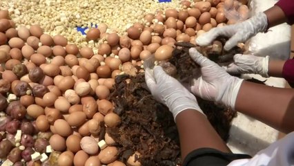 [이브닝] 볼리비아..."장수의 비결" 라마 고기로 특대형 전통요리 선보여 / YTN