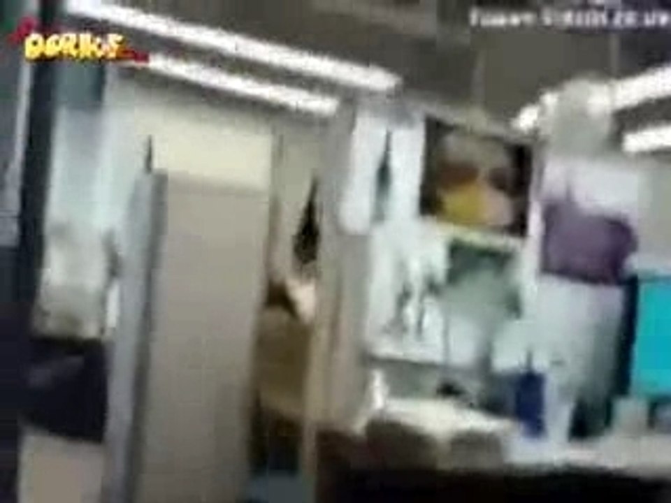 n'importe quoi! farce, gag, humour