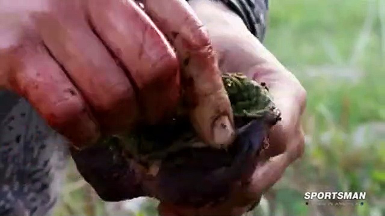 Meateater S02 E01