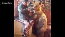 Meet Stepan, the Russian bear that loves to share treats with his owner