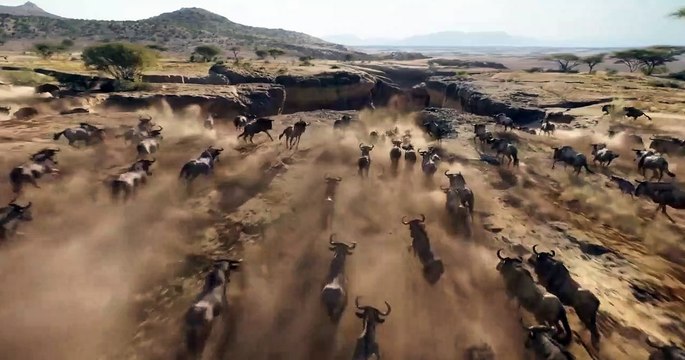 O Rei Leão - Primeiro trailer - 2019 nos cinemas