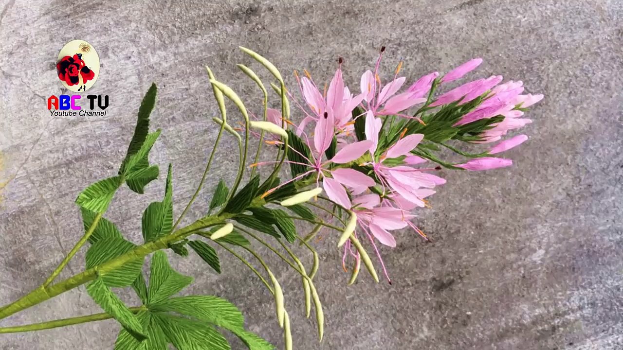 ABC TV   How To Make Cleome Hassleriana Flower From Crepe Paper - Craft Tutorial