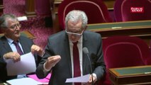 Sport : le Sénat conditionne la sélection en équipe de France « au respect de règles fiscales vertueuses »