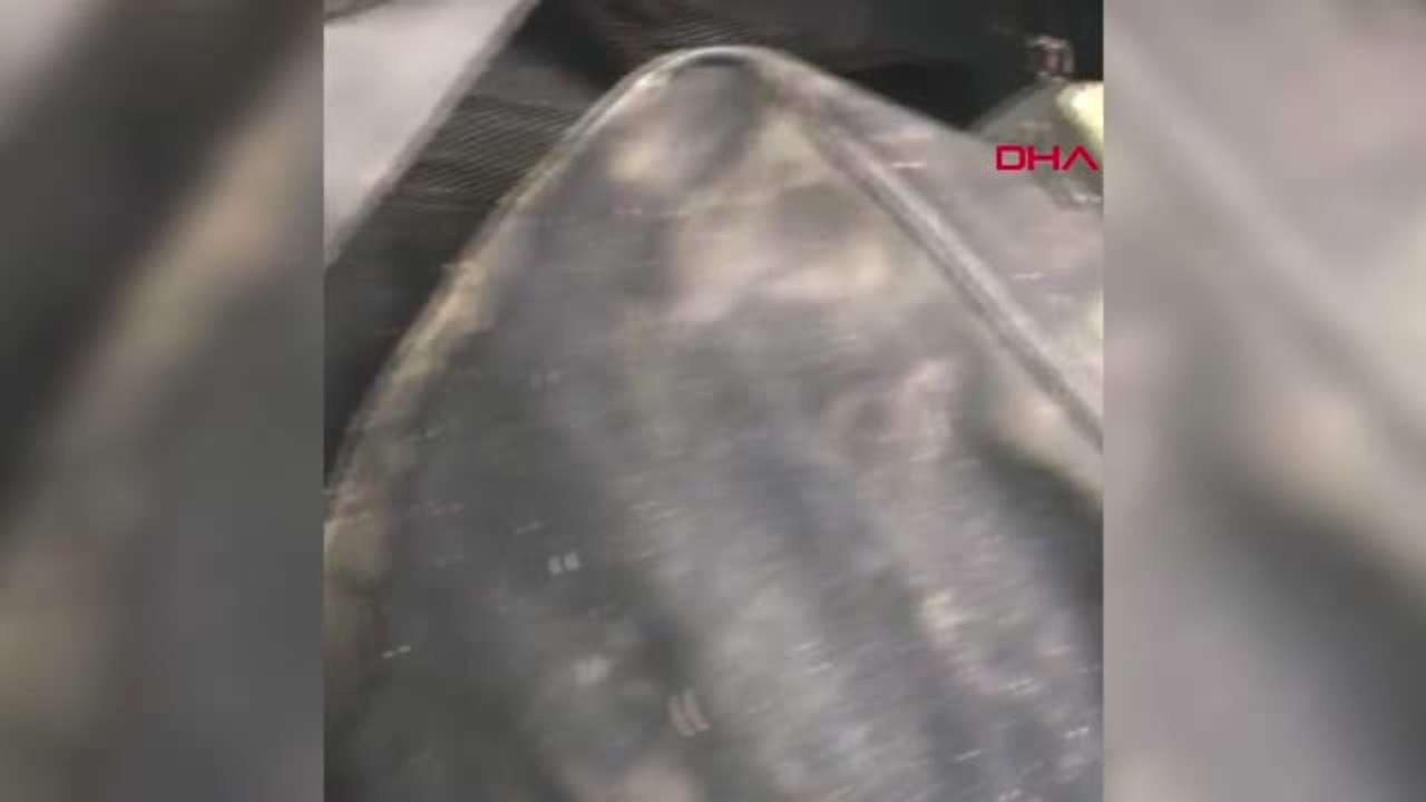 Tekirdağ Çantaların İçinden Gümrük Kaçağı 2 Bin 317 Cep Telefonu Çıktı