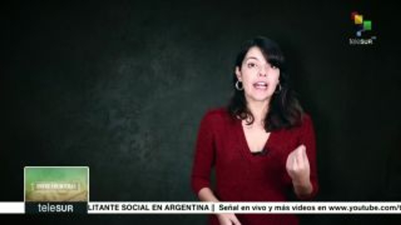 Entre Fronteras: Tratamiento mediático sobre los flujos migratorios