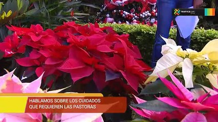 bd-consejos-cuidado-pastoras-231118