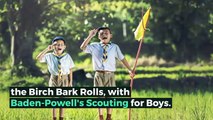 What is BOY SCOUT HANDBOOK? What does BOY SCOUT HANDBOOK mean? BOY SCOUT HANDBOOK meaning - BOY SCOUT HANDBOOK definition - BOY SCOUT HANDBOOK explanation