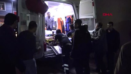 Şanlıurfa Ceylanpınar'da Kamyonet Şarampole Devrildi 4 Yaralı