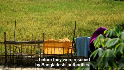 Fears of boat exodus as smugglers prey on Rohingya desperation