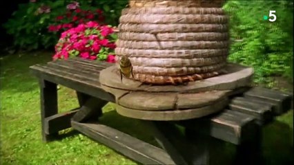 Les insolites - L'esprit de famille