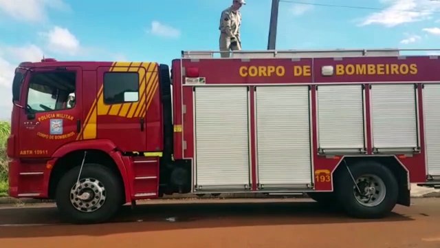 Bombeiros resgatam cachorro no Universitário