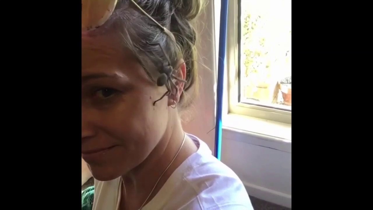 Son animal de compagnie est une araignée... Adorable